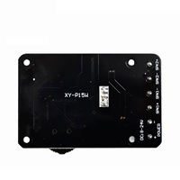 Module amplificateur de puissance numérique stéréo Bluetooth XY-P15W 10W/15W/20W 12V/24V haute puissance