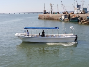 <span class=keywords><strong>Barco</strong></span> Panga <span class=keywords><strong>de</strong></span> FRP Grandsea <span class=keywords><strong>de</strong></span> 35 pies/11 m, <span class=keywords><strong>Pequeño</strong></span> <span class=keywords><strong>Barco</strong></span> <span class=keywords><strong>de</strong></span> Pasajeros, Embarcación <span class=keywords><strong>de</strong></span> Transporte <span class=keywords><strong>de</strong></span> <span class=keywords><strong>Carga</strong></span> en Venta - Product Image 4
