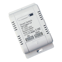 Module intelligent Tuya ZigBee 3.0 haute puissance Wi-Fi AC 85-265V, interrupteur de contact sec momentané, télécommande vocale, minuterie, éclairage, maison américaine