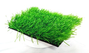<span class=keywords><strong>Gazon</strong></span> artificiel pour football 50 mm, <span class=keywords><strong>prix</strong></span> du <span class=keywords><strong>gazon</strong></span> synthétique, <span class=keywords><strong>gazon</strong></span> synthétique pour terrain de football - Product Image 5