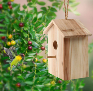 Nouveau Kit de Nid d'Oiseaux en Bois Massif Personnalisable Entièrement Assemblé avec Fenêtre Transparente et Fermeture à Bouton - Product Image 3