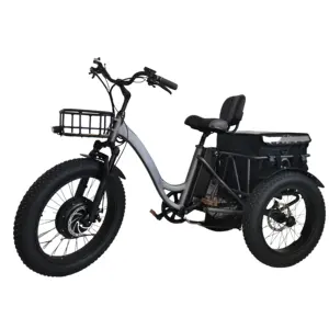 CZDM 48V 1000W gordura ebike triciclos elétricos 3 rodas suspensão completa bicicleta elétrica