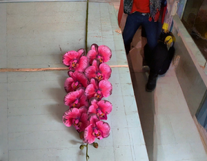 ดอกกล้วยไม้9หัวดอกไม้ประดิษฐ์ดอกไม้สัมผัสได้จริงสำหรับการจัดดอกไม้ในงานแต่งงาน - Product Image 2