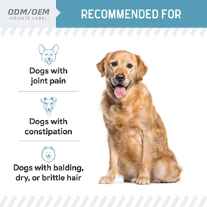 Suplementos en Polvo Multivitamínicos Naturales <span class=keywords><strong>para</strong></span> <span class=keywords><strong>Perros</strong></span> Petop OEM, MSM y <span class=keywords><strong>Probióticos</strong></span> <span class=keywords><strong>para</strong></span> la Salud Inmunológica, de la Piel, el Pelaje, las Articulaciones y Digestiva - Orgánicos - Product Image 5