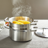 Marmite à vapeur professionnelle à 2 niveaux en acier inoxydable, marmite à soupe robuste avec couvercle en verre, compatible induction, ustensiles de cuisine pour restaurant