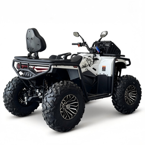 <span class=keywords><strong>Quad</strong></span> tout-terrain 400cc 10' haute puissance, vente directe usine - Product Image 4