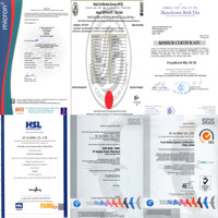Poudre de vitamine E de qualité alimentaire D-Alpha-Tocophérol Vente en gros Alpha-Tocophérol