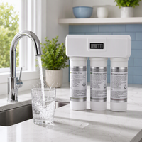 Système de purification d'eau de cuisine en 3 étapes, membrane en fibres creuses UF 0,01 μm, filtre PP CB, montage sous évier, 2 LPM