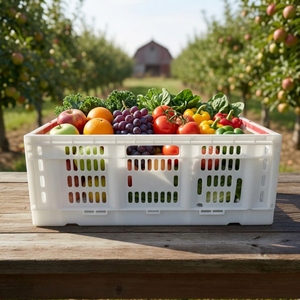 Caisses pliables économiques pour la récolte quotidienne des fermes rurales et l'expédition vers le marché - Product Image 6