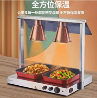Plateau chauffant en céramique électrique pour garder les aliments au chaud Plateau chauffant pour aliments avec lumière chauffante Plateau chauffant pour aliments