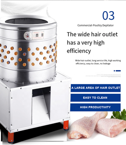 Hot Bán Thương Mại Đầy Đủ-Tự Động Tốc Độ Cao Thép Không Gỉ Gà Scalder Và Nhím Lông Máy - Product Image 2