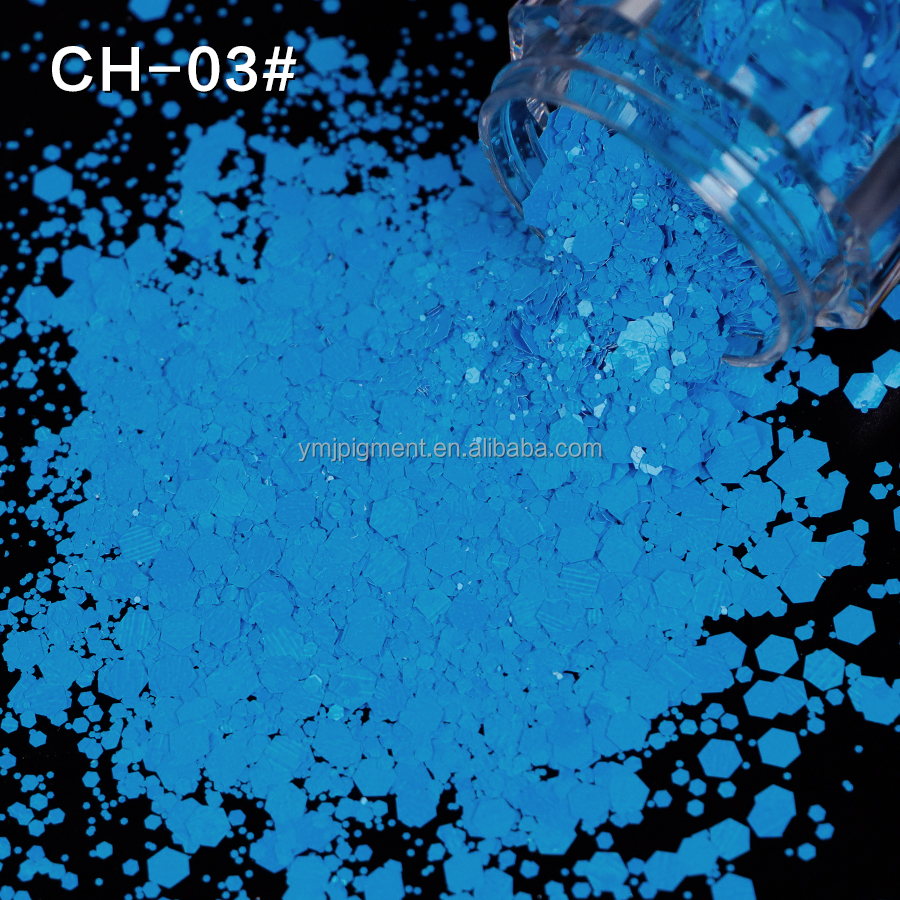 CH-03-paillettes violettes