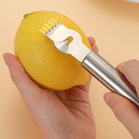 Nouvelles idées de produits 2026, accessoires et outils pour la maison et la cuisine, éplucheur de noix de coco coloré, râpe à citron en acier inoxydable