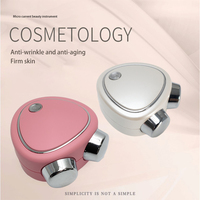 Meilleures Ventes : Appareil de Massage Anti-Âge Portable et Compact à Micro-Courant pour le Rajeunissement du Visage et l'Élimination des Rides des Yeux