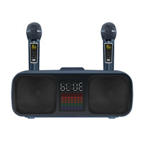 Haut-parleur Subwoofer TD-SD-318 avec Double Microphones, haut-parleur karaoké sans fil, portable, pour fête en plein air, ktv