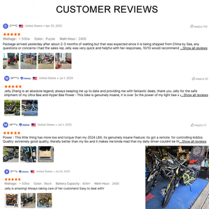 2025 2026 सुर में अल्ट्रा मधुमक्खी के ब्लैक एडिशन 2024 नया आगमन हुआ, सुटन सर्न 74 वी 12500w 18kw 21kw इलेक्ट्रिक गंदगी बाइक - Product Image 6