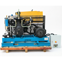 Compresor de Aire de Pistón AirHorse de Alta Presión (40 Bar/30 Bar) de 1.0m³/min a 8.0m³/min, 11kw, 15kw, 22kw para Soplado de Botellas PET