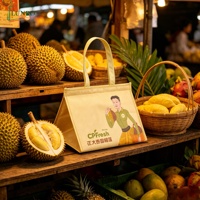 Sac isotherme personnalisé en non-tissé avec fermeture éclair, écologique, imperméable, plusieurs tailles (jusqu'à 30L), réutilisable pour les aliments