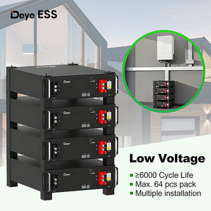 Deye Lifepo4 Pil 48v 51.2v 100ah 200ah 5.12kwh Raf Montajlı Lityum Pil Lipo Spring Serisi Se-g10.2 Ev Enerji Paketi için - Product Image 5