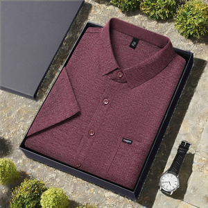 Camisa de Negocios para Hombre de Verano, Sólida, Transpirable, de Seda de Morera Tejida, Mezcla de Lino y Poliéster, Manga Corta, con Botones Delanteros, 180g - Product Image 2