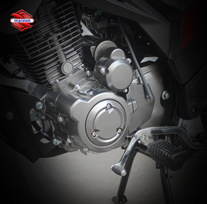Moto tout-terrain 4 temps à essence pour adultes, modèle <span class=keywords><strong>150cc</strong></span>, très populaire, type Pit Bike, à <span class=keywords><strong>vendre</strong></span> - Product Image 5