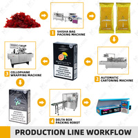 Machine d'emballage automatique de sachets de chicha en carton, ligne de mise en carton et d'emballage