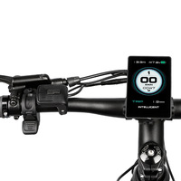 Accélérateur de pouce E-Bike 36V 48V, connexion rapide étanche 5 étoiles pour moteur central Bafang, pièce de rechange pour vélo électrique