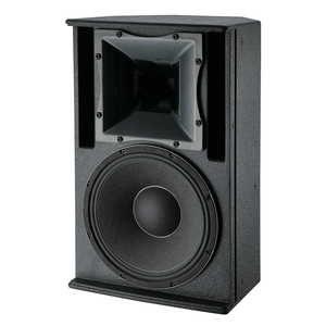 Altoparlante Professionale Full-Range da 15 Pollici a 2 Vie con Direzione Frontale per Teatri, Auditorium, Stadi Sportivi - Product Image 3