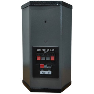 Altavoz de Columna PA de 100V y 10W para Sistemas de Cine en Casa - Product Image 3