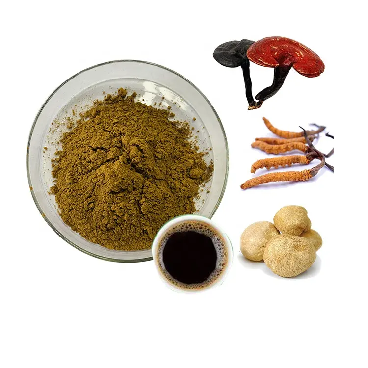 Cordyceps De Seta Reishi, mezcla de melena de León, café de setas