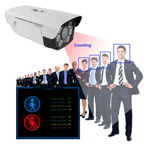 人脸识别闭路电视摄像机2MP门禁IP客流人群访客柜台人员计数摄像系统