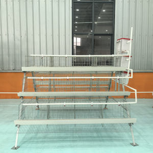 Batterie <span class=keywords><strong>de</strong></span> haute qualité 3/4 niveaux 96/120/128/160 Poulet pondant un type 500 couche <span class=keywords><strong>Oeuf</strong></span> poules Cage prix batterie ferme avicole à <span class=keywords><strong>vendre</strong></span> - Product Image 3