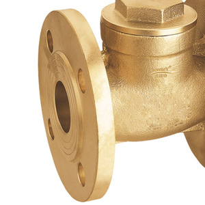 Guangdong Magnesium Special Brass Flange Check Valve 409 Lift Type For Water Flow Control Straight Through Design - Product Image 2