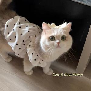 Manufacturer Wholesale Luxury Cotton Polyester <b>Linen</b> Modern Pet Princess Skirt Dog All Seasons Thin Style Polka Dot <b>Sun</b> - Product Image 4