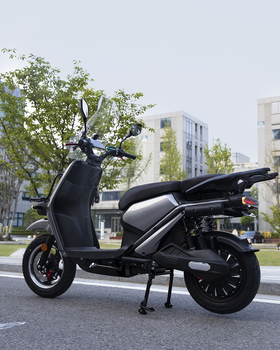 ZXMCO Exchangeable EEC Electric Motorcycle 3000W Removable Lithium