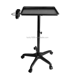 Simple mobile metal beauty tool tray hair salon trolley cart with hair dryer hanger