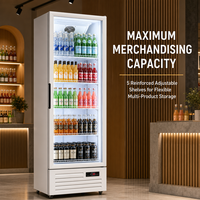 Congélateur vertical commercial personnalisé, style monotempérature, design fin, équipement de réfrigération directe pour la présentation de boissons