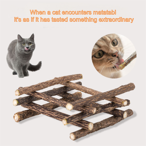 Palitos de Catnip con Sabor a Menta Natural, Juguete para Morder y Estimular, Snack Fresco para Gatos y Suplemento para el Cuidado de la Salud - Product Image 5