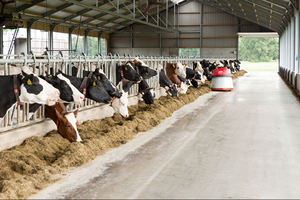 Bâtiments agricoles préfabriqués en acier léger à faible coût pour volailles, moutons, chèvres laitières, vaches, hangar de stockage, entrepôt - Product Image 2