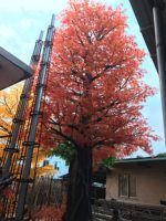 Décoration des arbres en soie artificielle d'érable naturel 3m d'automne, arbre d'érable japonais rouge, feuilles d'or du Canada, arbre d'érable