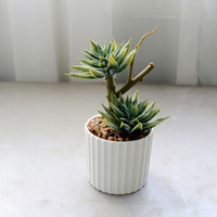 Fleurs artificielles en plastique, ornements créatifs, plantes succulentes en pot, décoration de la maison, accessoires de photographie, verdure artificielle, plantes à feuilles persistantes