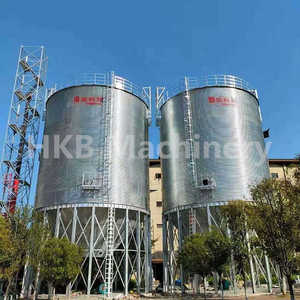 Силос для хранения кукурузы емкостью <span class=keywords><strong>1000</strong></span> тонн - Product Image 2