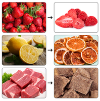 Vacuümvriesdroger voor voedsel, fruit, groenten en dierenvoer, lyofilisatiemachine