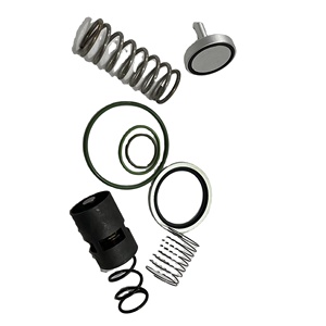 Kit de réparation pour compresseur d'air à vis Manny 2901 2006 53 avec joints - Product Image 1