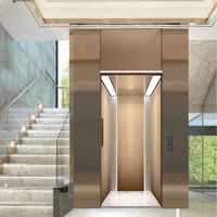 Lift Rumah Modern yang Dapat Disesuaikan untuk Vila, Sistem Penggerak Traksi Baja Tahan Karat. Tersedia Berbagai Warna Kapasitas 400kg untuk 2-3 orang