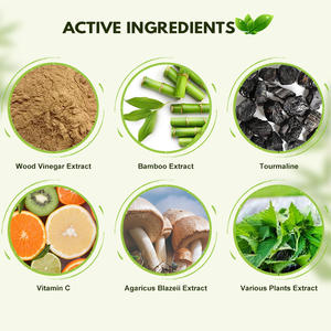 Biologische Kruiden Gember Diep Schone Anti-<span class=keywords><strong>Detox</strong></span> Voet <span class=keywords><strong>Patch</strong></span> Pads Bamboe Voet <span class=keywords><strong>Detox</strong></span> Pads-Gezondheidszorg Aanbod - Product Image 4