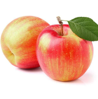 Professionelles AROMA-AROMASTOFF 100% Doppel-Apfel-Essenz Geschmacksflüssigkeit Lebensmittelqualität Rohstoffe für Bubble Gum Probenprüfung