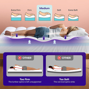 Venta Directa de Fábrica, Cómodos Protectores de Colchón Acolchados, Cubrecolchones Acolchados para Hotel, Cubrecolchón Grueso de Doble Capa - Product Image 6