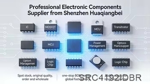 1-100 piezas SRC4192IDBR Nuevo convertidor de frecuencia de muestreo IC original 28SSOP - Product Image 4