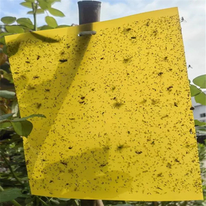 Trampas Adhesivas Impermeables Azules/Amarillas de 30*25 cm para Control de Plagas: Minero de Hojas/Mosca Blanca/Trips/Mosca de la Fruta - Product Image 3